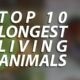 Longest Living Animals