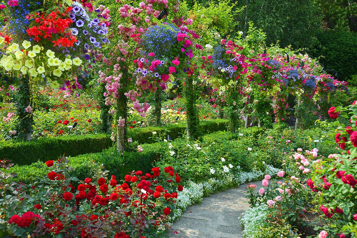 Pin by Julie Rorden on Rose Garden | Beautiful flowers garden, Rose garden landscape, Rose garden design