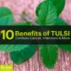 10 benefits of tulsi