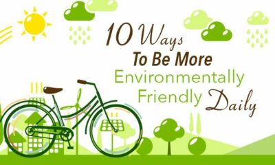 Top 10 Ways To Be Environmentally Friendly