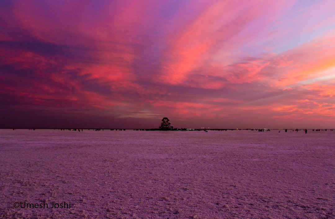 Rann Of Kutch