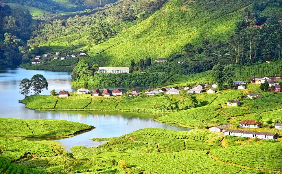 Munnar Sightseeing Cab I Book Online & Save 20%