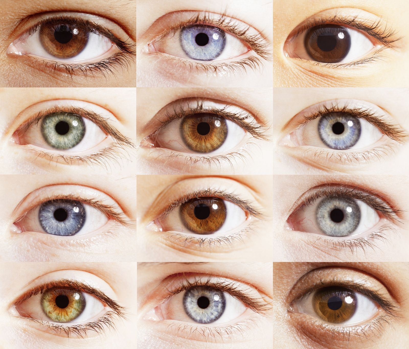 If you have blue eyes, they're actually brown and you just don't realise it | Eye color chart, Blue green eyes, Types of eyes