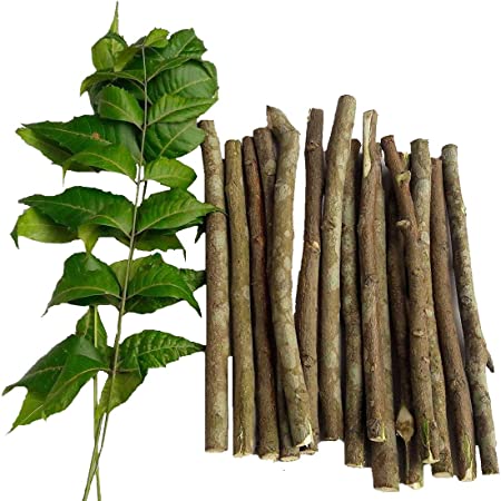 BuyandCheers Natural Neem Chew Sticks/Tree Datun Twigs Organic Toothbrush, 20 Pieces: Amazon.in: Health & Personal Care