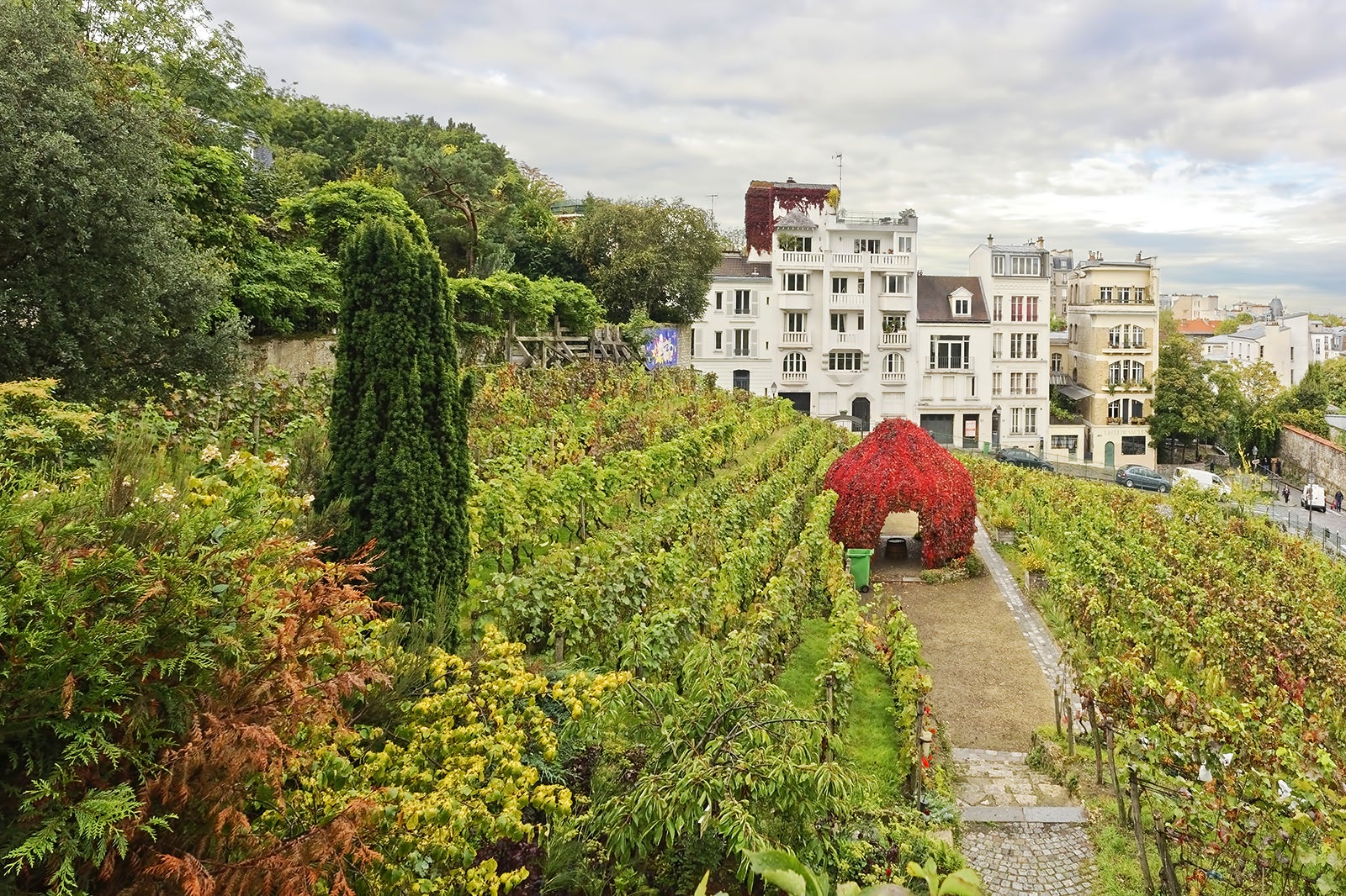 Paris Vineyards 