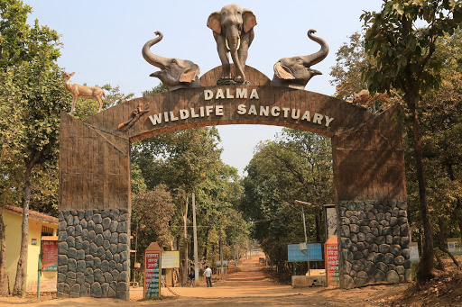  Dalma-wildlife-Sanctuary.