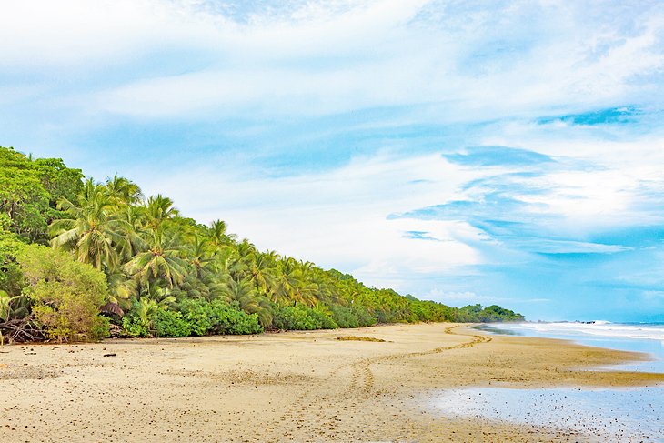 Deserted Montezuma beach