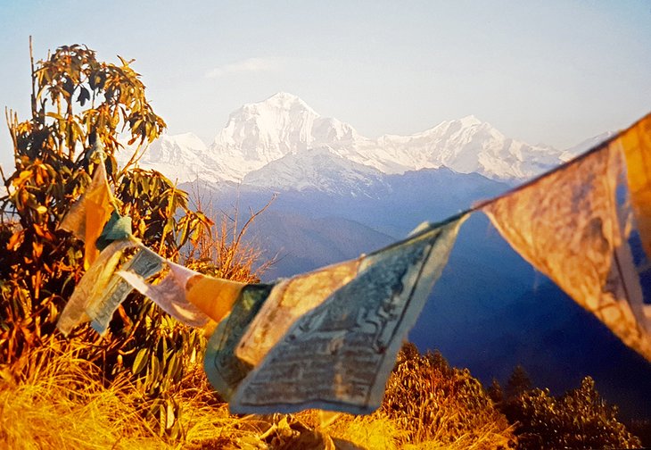 Early morning at Poon Hill, Annapurna Region 