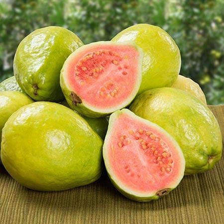 Guava