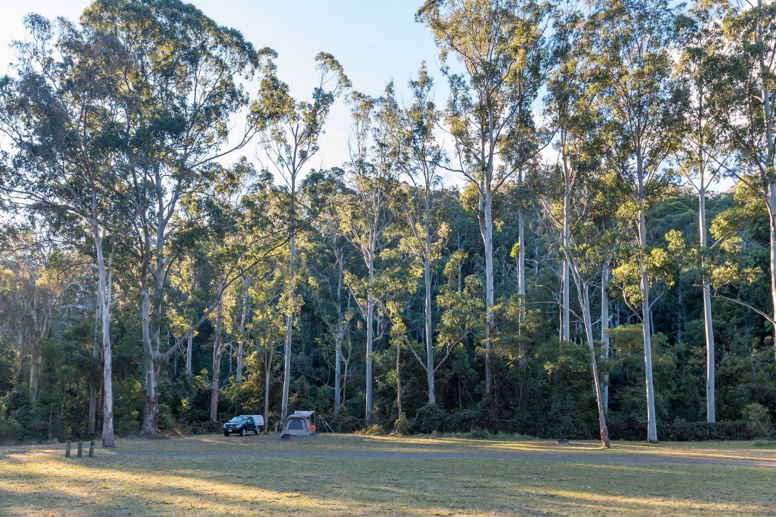 National Park Odyssey: Manna Gum Camping Area, Goomburra Section of Main Range National Park, QLD.