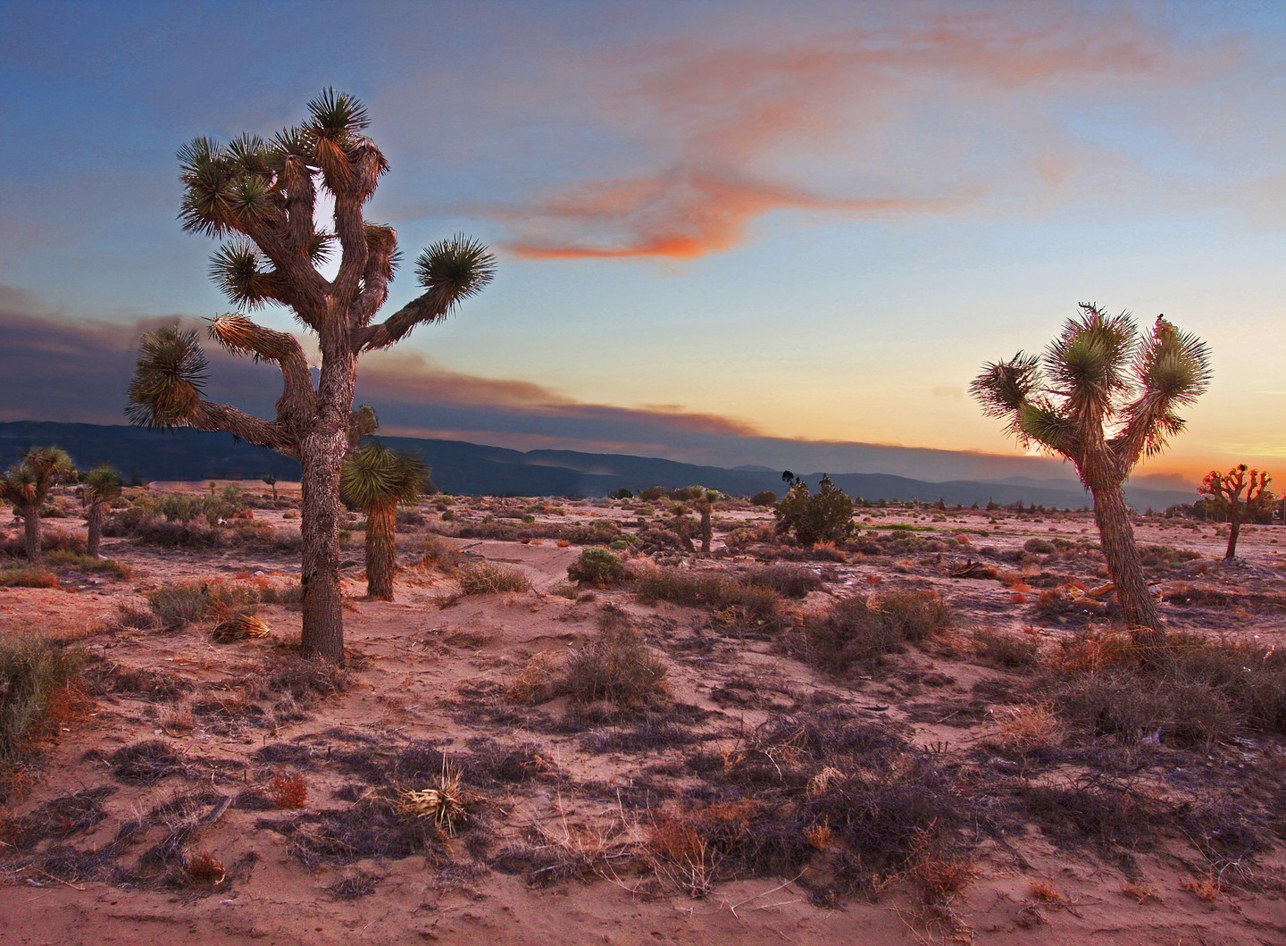 Mojave Desert – Nevada