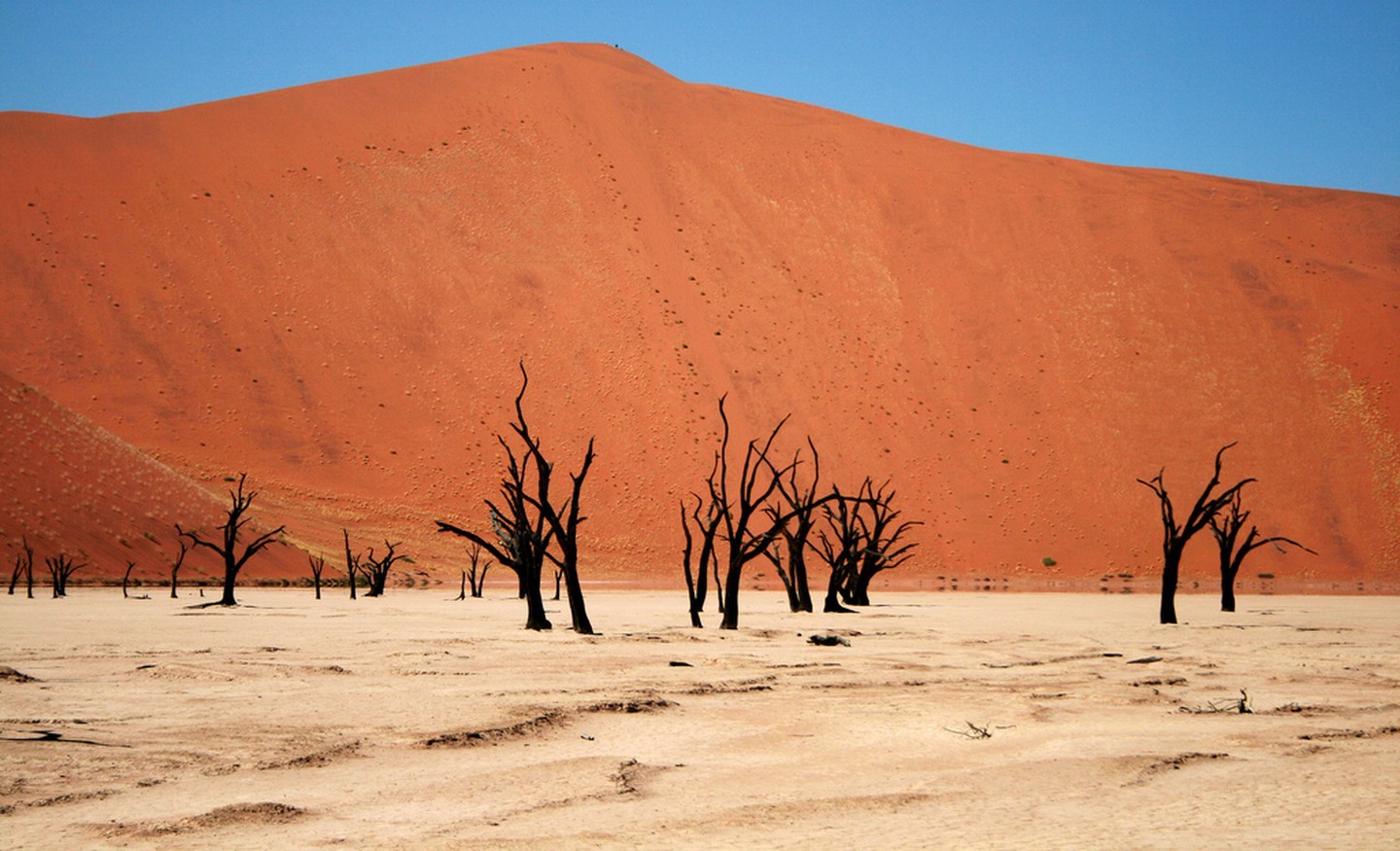 Namib Desert – Africa