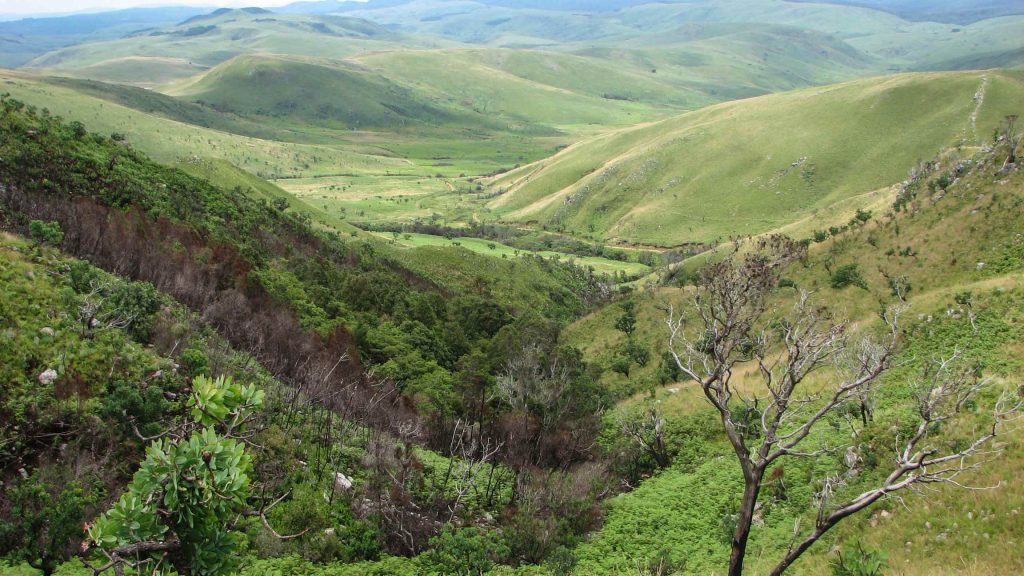 Nyanga National Park