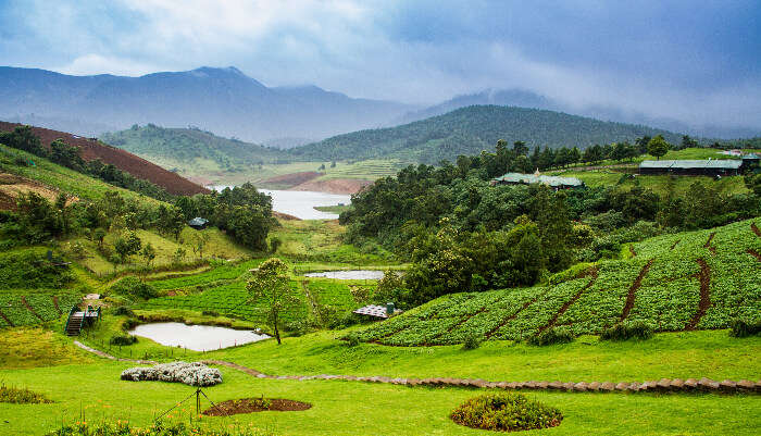 Ooty In Summer 2021: 16 Best Places To Visit In The Nilgiris