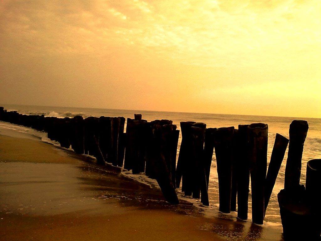 Auroville Beach