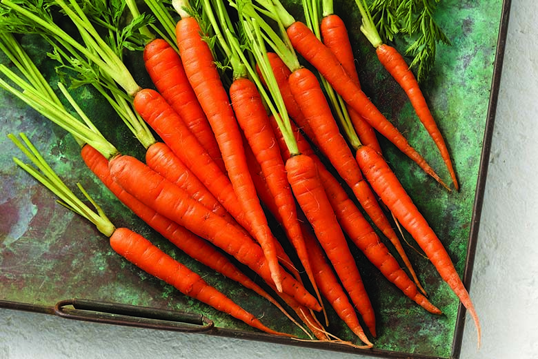 Carrots: Tracing this Vegetable's Roots | Food & Nutrition Magazine | Volume 9, Issue 1