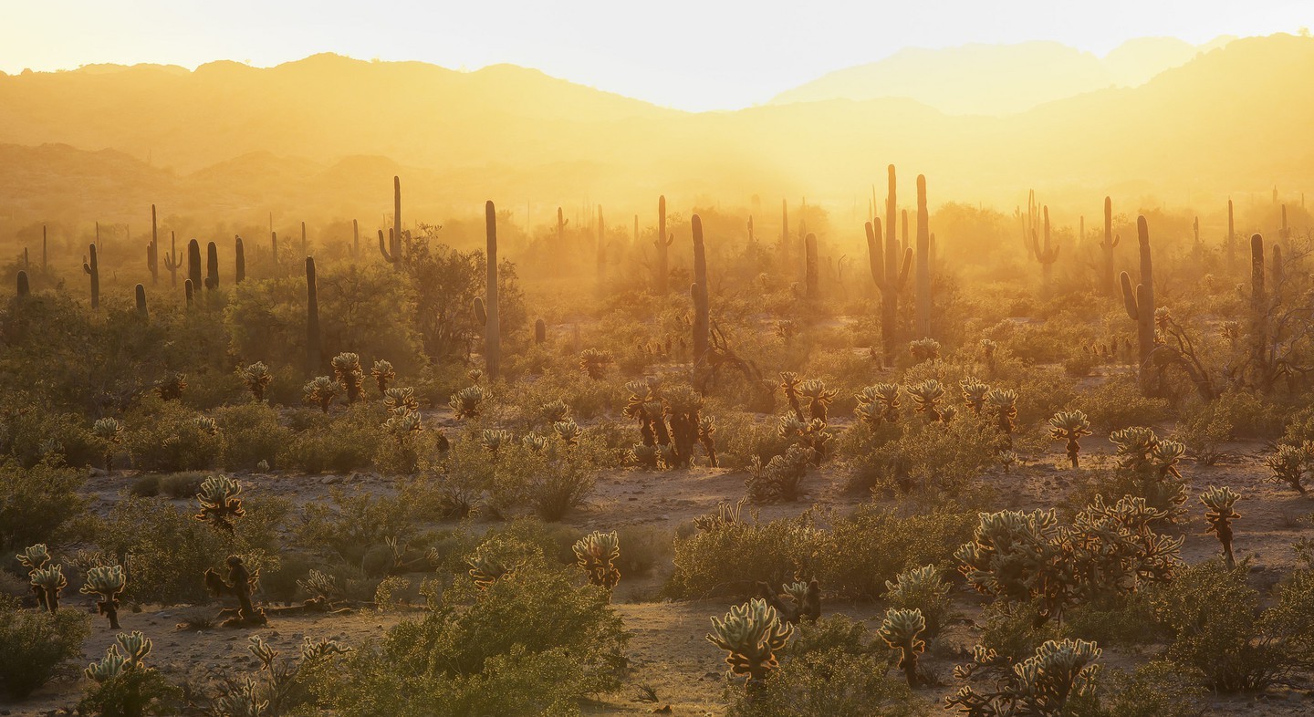 Sonoran Desert – USA/Mexico