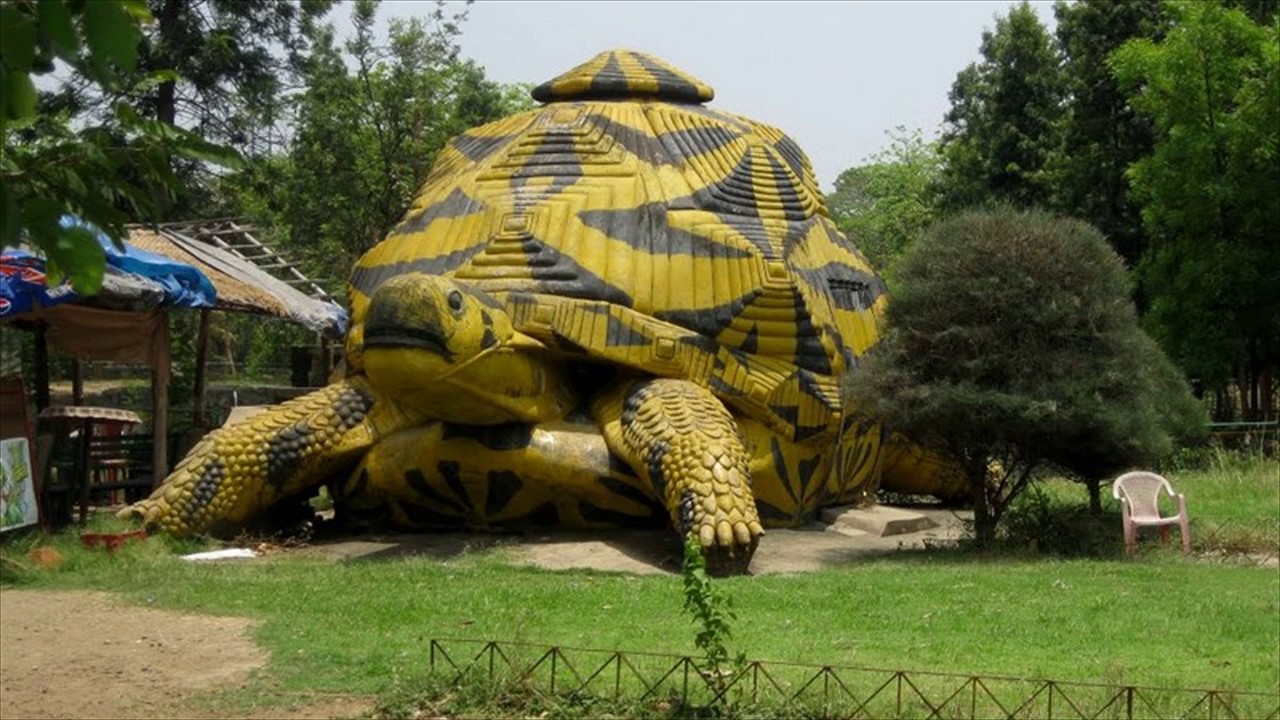 Tata-steel-Zoological-park.