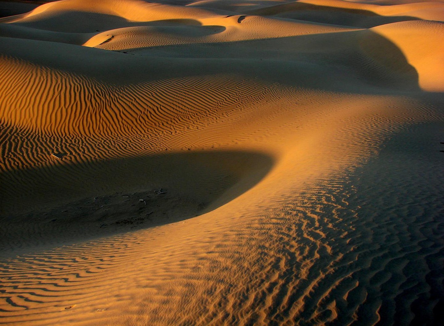 Thar Desert – India/Pakistan