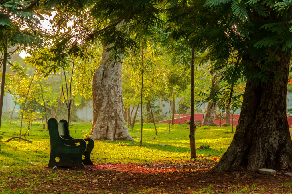 The_lonely_bench_at_Botanical_Garden_Pondicherry_India-scaled