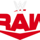 WWE Symbol