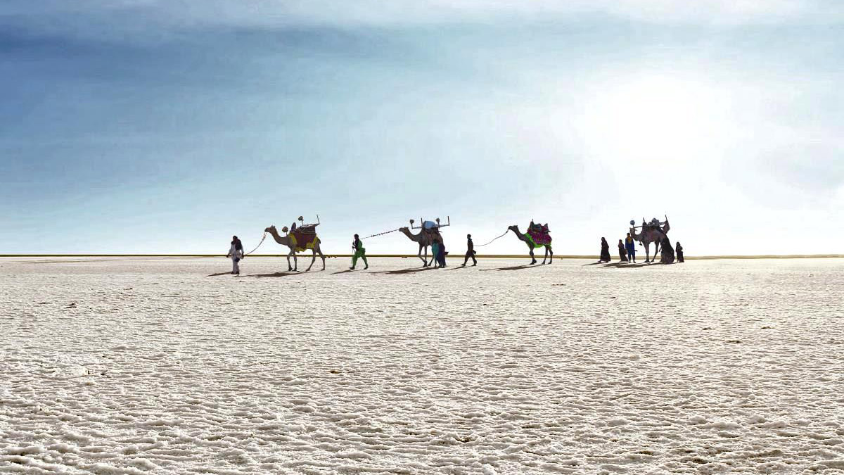 The Great Rann of Kutch : An Unforgettable Wonder of Gujarat