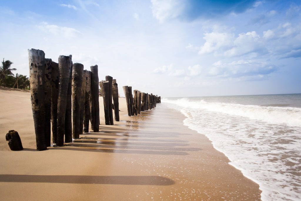 Wooden-posts-on-the-Pondicherry-beach.