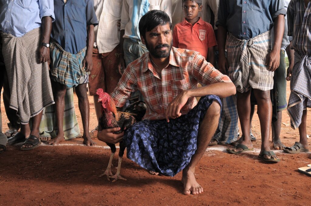 aadukalam