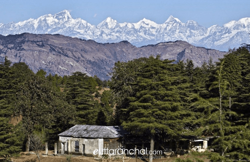 Abbott Mount Hill Station Uttarakhand - Abbott Mount Travel Guide, Tips