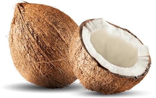 A Grade Solid Coconut, Packaging Size: 10 Kg, Coconut Size Available: Large, Rs 40 /kilogram | ID: 21599297155