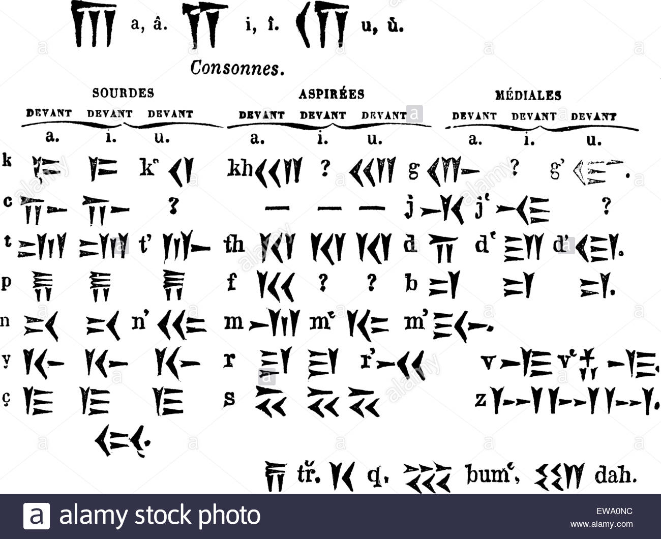 Sumerian Language