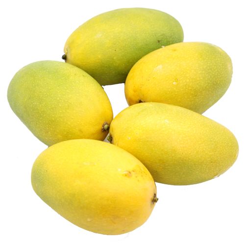 dasheri-mango
