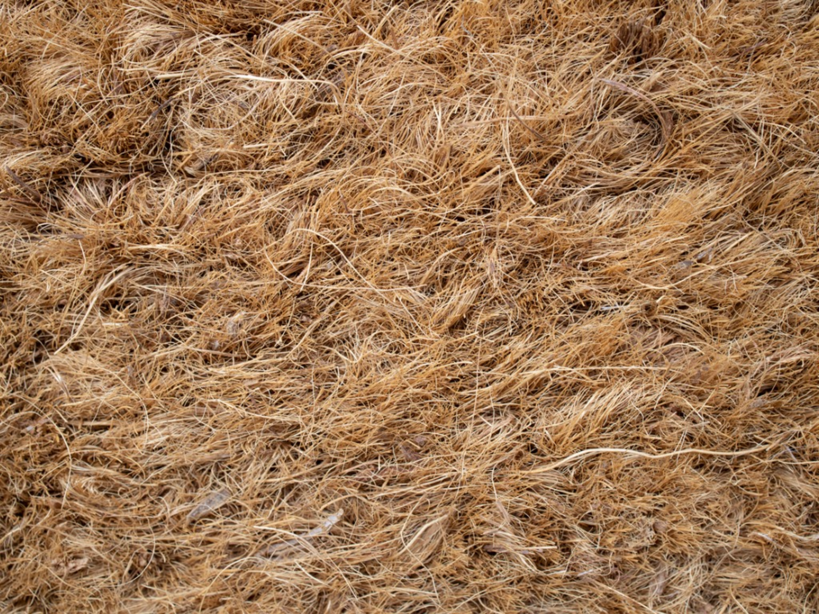 Coconut Coir Mulch Benefits - Suggestions For Coir Mulch Uses In The Garden