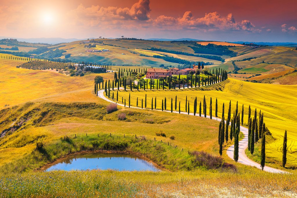 Tuscan Countryside