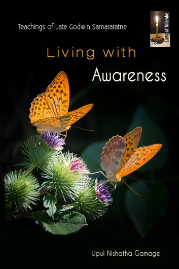 Living with greater awareness