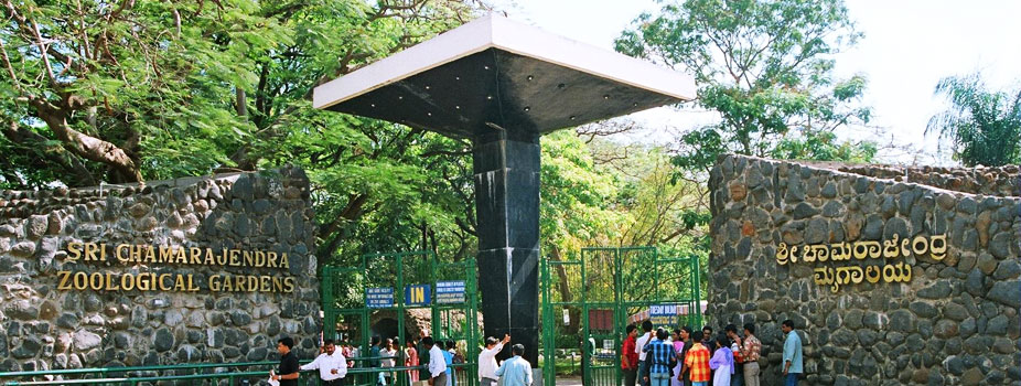 Mysore Zoo Mysore, India | Best Time To Visit Mysore Zoo