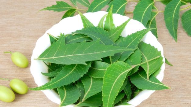 10 Wonderful Benefits and Uses of Neem: A Herb That Heals - NDTV Food