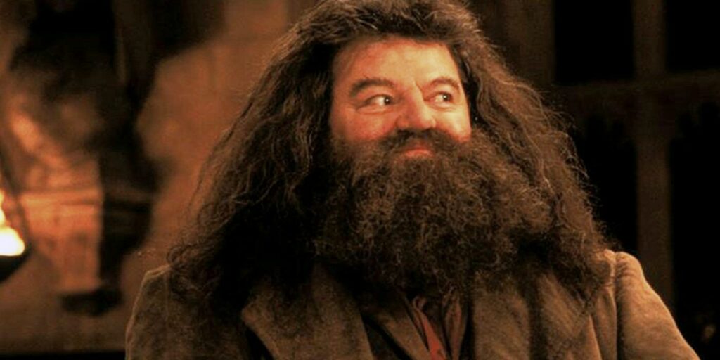 rubeus hagrid