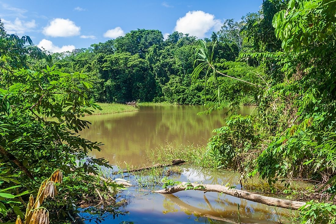 Madidi National Park