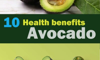 Top 10 Health Benefits Of Avacado