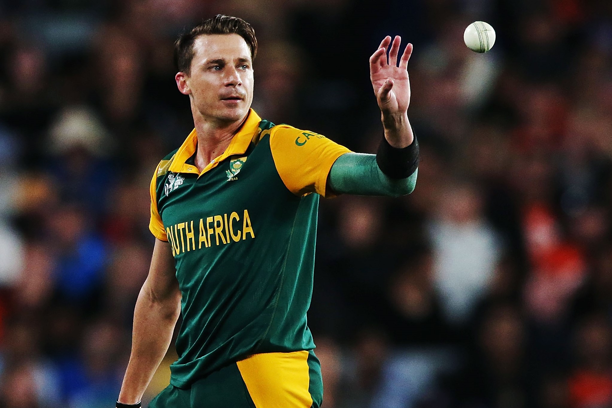 Dale Steyn - Most Successful South African Cricketers of All Time
