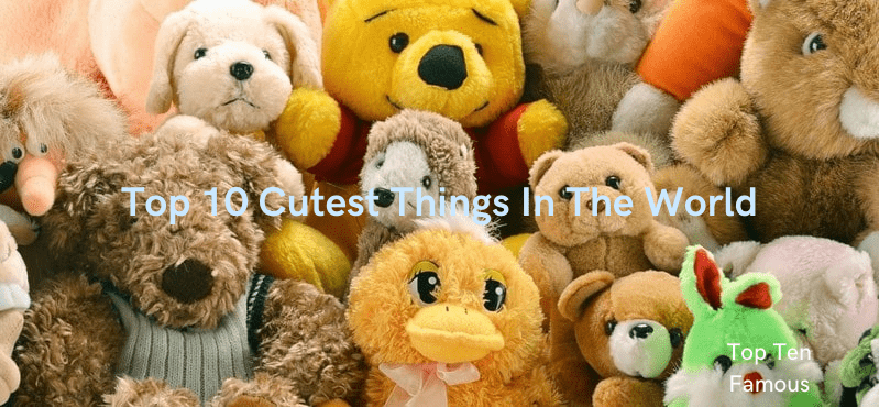 Top 10 Cutest Things In The World