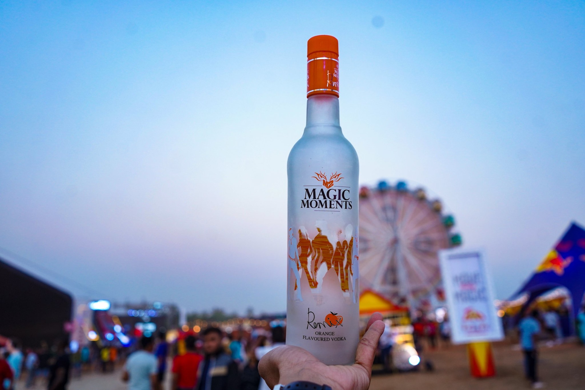 Top 10 Best Vodka Brands In India (Price List) In 2024