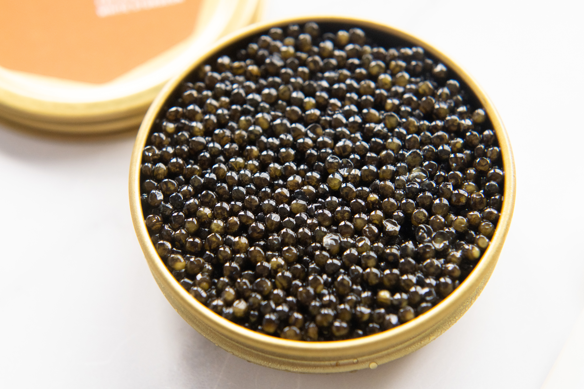 Caviar Expensive Foods 