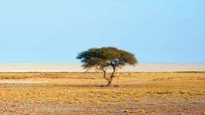 Namibia (Etosha National park) - Best Places to Photograph in the World 