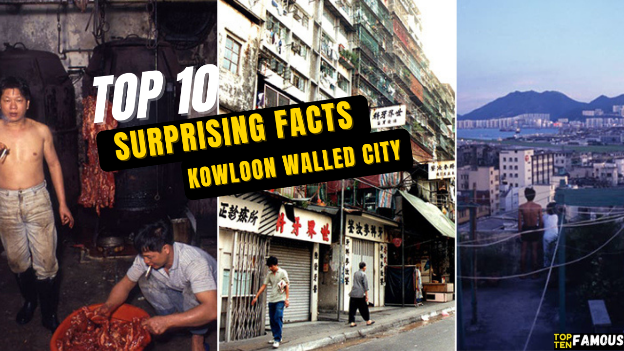 Top 10 Surprising Facts About Kowloon Walled City