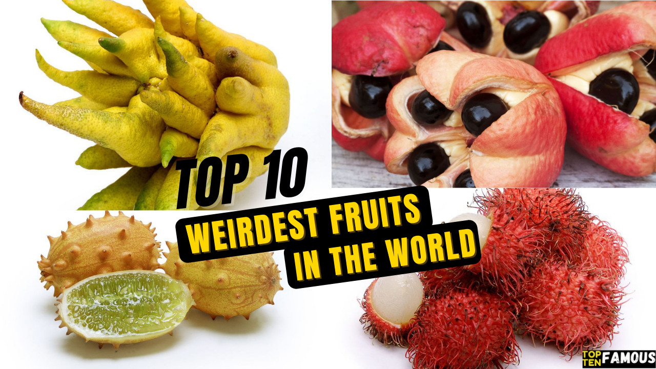 Top 10 Weirdest Fruits In The World
