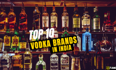 Top 10 Best Vodka Brands In India (Price list)