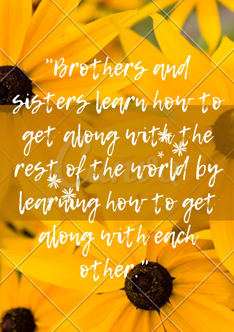 Brother and Sister Relationship Quotes!