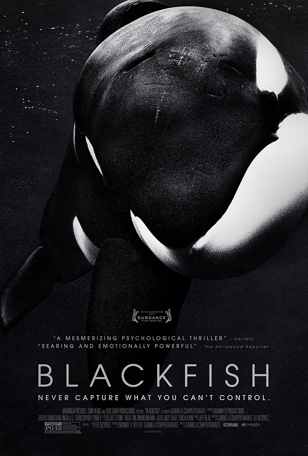 Blackfish (2013)-Best Movies to watch on Netflix